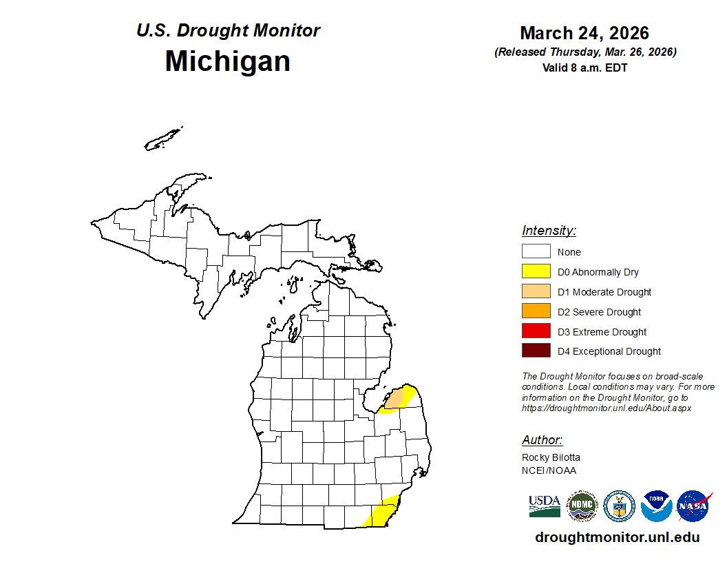 U.S. Drought Monitor map of Michigan dated March 24, 2026. Most of the state shows no drought conditions (white), with small areas of abnormally dry conditions (yellow, D0) in parts of southeast Michigan and along the far southern border. No moderate or more severe drought categories are present.